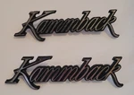 Pair Of 1971 1972 1973 1974 Emblem Nameplate Chevrolet Chevy Kammback 9885757. Fixed Price $19.99.
