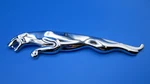 2010-2018 Jaguar Xjl X351 Rear Trunk Hatch Emblem Chrome Cat Oem AW93431C39GA. Fixed Price $27.91.