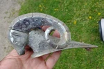 1951 1952 1953 Rare Dodge Truck Hood Ornament Ram Power Wagon Dpcd. Fixed Price $229.00.