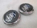 91 92 93 94 95 96 Buick Park Avenue Roof Pillar Emblem **pair**. Fixed Price $18.99.