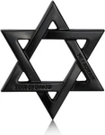 Noizzy Star Of David Car Emblem, 3D Metal Hexagram Auto Badge Sticker Matteblack. Fixed Price $9.99.
