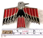Oem! 67?68 Pontiac Firebird Emblem,gas Fuel DOOR?VITROLUX,9785962 11658,D.L.AULD. Fixed Price $99.98.