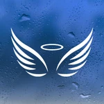 Angel Vinyl Decal V2 Custom Stickers Die Cut. Fixed Price $23.99.