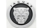 Genuine Jaguar 2008-2013 Xj Xfr Xkr Super V8 Vanden Plas Ornament C2Z31124. Fixed Price $174.95.