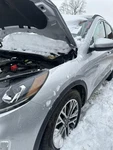 Used Front Left Fender Fits: 2020 Ford Escape W/o Plug-in Hybrid Grad. Fixed Price $199.90.