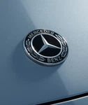 Black Front Hood Star Emblem For Mercedes Benz Class W204 W205 W213 Badge. Fixed Price $27.79.