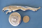 Jaguar Xf Chrome Color Emblem Oem Badge 8X23-43156-AA 09-15 10 11 12 13 14. Fixed Price $24.99.
