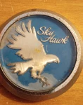Vintge 1977 Buick Skyhawk Metal Badge / Emblem Part # 346573 Fair Condition. Fixed Price $7.99.
