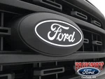 24 25 F-150 Oem Ford Front Lighted Oval Grille Emblem Xl Stx Model Only. Fixed Price $279.95.