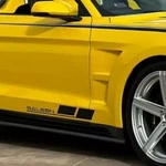 Oem Saleen Decals Lower Door Trim & Windshield New 3PC Set Fits Mustang Oracle. Fixed Price $79.99.