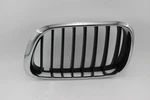 Original Bmw E53 X5 3.0D-4.6IS Decorative Grille Front Right Kidney 51138. Fixed Price $49.60.