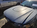 Used Front Grille Fits: 2003 Ford Mustang Base V6 Grade. Fixed Price $120.95.