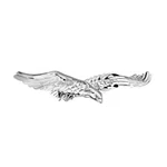 United Pacific 50119 Emblem, Chrome, Eagle Accent. Fixed Price $39.31.