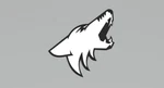 Coyote, Mustang, Ford, Gt Emblem. Fixed Price $40.00.