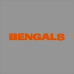 Cincinnati Bengals #4 Nfl Team Pro Sports Vinyl Sticker Decal Car Window Wall. Fixed Price $55.02.