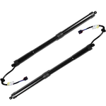 Oem Genuine Hyundai Santa Fe 2013-2019 Rear Tailgate Power Hatch Lift Supports. Fixed Price $129.99.