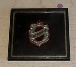Oldsmobile Oem 1987-1991 Delta 88 Door Panel Emblem Badge Logo Name 20663446. Fixed Price $39.95.
