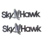 1982-1989 Buick Skyhawk Plastic Chrome Emblem Oem Lot Of. Fixed Price $20.00.