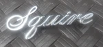 Vintage 1972-74 Ford Squire Car Emblem Script D20B-16098-GA T52222. Fixed Price $18.95.