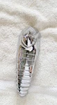 1950 Chevrolet Trunk Handle Emblem Lock Cover Genuine Chevy Used #1000. Fixed Price $400.00.