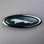 1997-2002 Jaguar XK8 Left Side Fender Emblem Green Logo Badge HJA5771AA Oem. Fixed Price $79.00.
