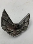 1970-1973 Pontiac Firebird Emblem Badge 485929 12324. Fixed Price $18.66.