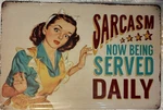 Tin Sign 8X12 Sarcasm Funny Sarcastic Sexy Girl Office Cubicle Work Kitchen DD16. Fixed Price $14.99.