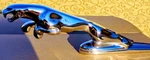 1995-2003 Jaguar XJ6 XJ8 Large Leaper Leaping Cat Hood Ornament HNA6350 Oem. Fixed Price $75.00.