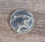 Vintage 1983 Ford Mercury Cougar C-pillar Badge Emblem Oem #EOWB-66517A57-AWA Rh. Fixed Price $14.95.