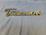 1969 70 71 72 73 74 75 76 77 Dodge B-van Fender Namplate Tradesman 100 Original. Fixed Price $19.95.