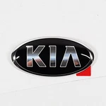 Genuine 863531F021 Front Hood Kia Logo Emblem (185MM) For Sportage 2005-2010. Fixed Price $27.68.