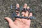 1973 Ford Galaxie 500 SET/2 Emblems Nice Originals D2AB6542528AA,D2AB-6550398-AA. Fixed Price $29.25.