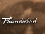 New 1978 1979 Ford "thunderbird" Headlight Door Emblem Nameplate Nos. Fixed Price $38.99.