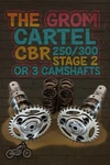 Honda CBR300/250 Drag/street Cams Stage Billet With Adj Gears. Fixed Price $550.00.
