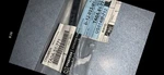 Genuine Mazda Nameplate TA0A-51-771. Fixed Price $31.00.