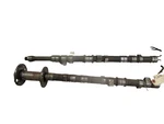 Alfa Romeo Milano GTV-6 Camshaft Set 2.5 Liter Engine. Fixed Price $50.00.