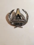 Original Dodge 3613823 Charger Se & Challenger Pillar Sail Emblem Qty. Fixed Price $50.00.