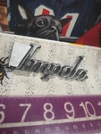 Nos Gm 20004530 77-85 Impala Nameplate. Fixed Price $34.95.