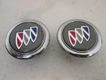Gm 25713251 Buick Lasabre 2000 01 02 03 2004 2005 Fender Emblem Genuine **pair**. Fixed Price $23.99.