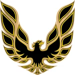 Firebird Trans Vintage American Muscle Vinyl Sticker Decal Side Panel Hood. Fixed Price $29.99.