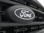 F-150 2021-2023 Lighted Ford Oval Front Halogen Led F/ Vehicles W/o Camera. Fixed Price $278.10.