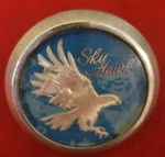 1976-1979 Gm Buick Skyhawk Hood Emblem 1252321 358314. Fixed Price $25.00.