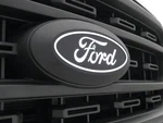 Genuine Ford Lighted Oval Front Halogen Vehicles VML3Z8A224A. Fixed Price $295.94.