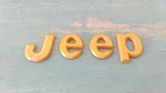 1993 - 1995 Jeep Grand Cherokee Gold Emblems Hood/tailgate. Fixed Price $19.99.